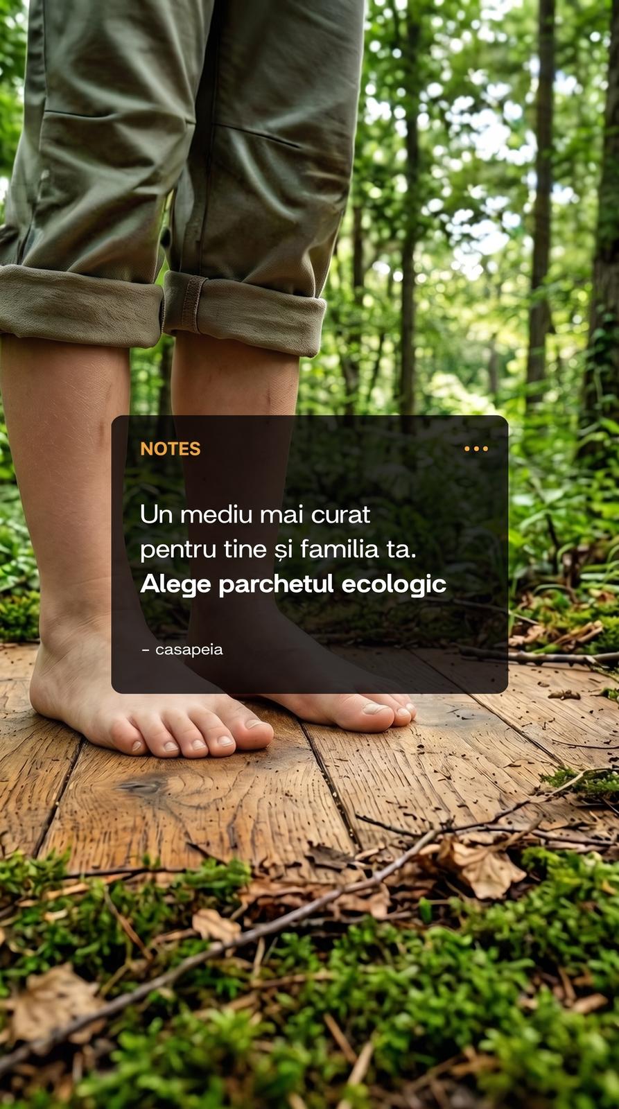 Postare social media Casa Peia 7