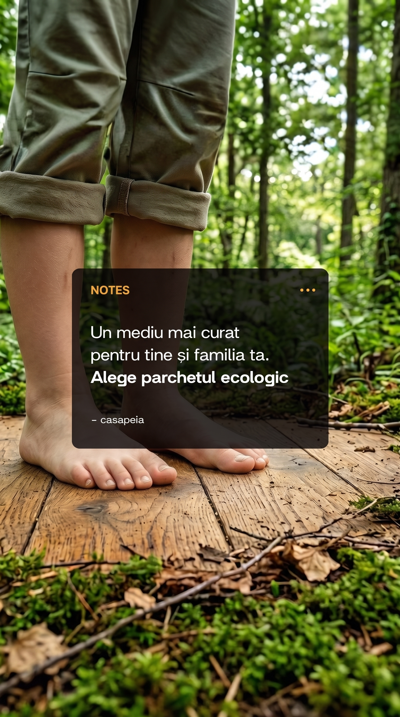 Postare social media Casa Peia 7