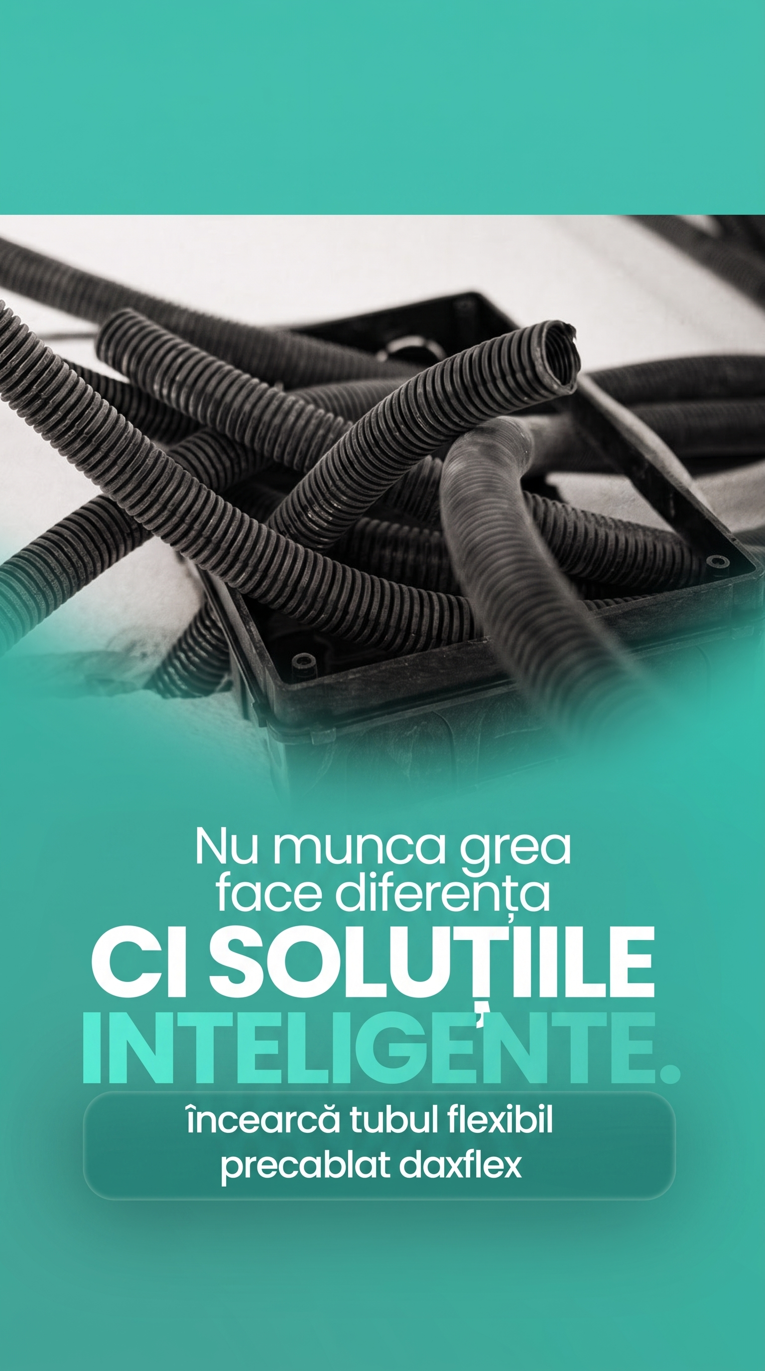 Postare social media Dax Mir Flex 1